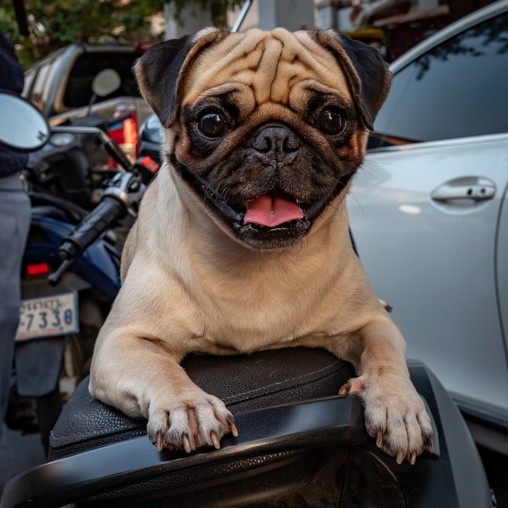 Phnom Penh street Photo Tour